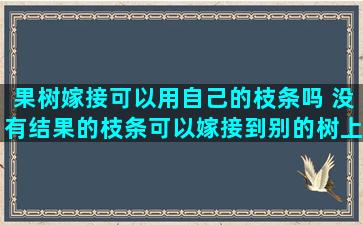 果树嫁接可以用自己的枝条吗 没有结果的枝条可以嫁接到别的树上会挂果吗